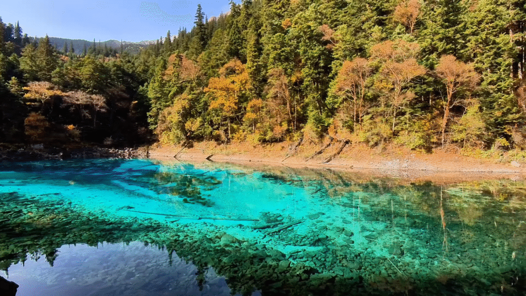 Five Color Pond view - Jiuzhaigou Travel Guide: Magical Valley - Leo Trails
