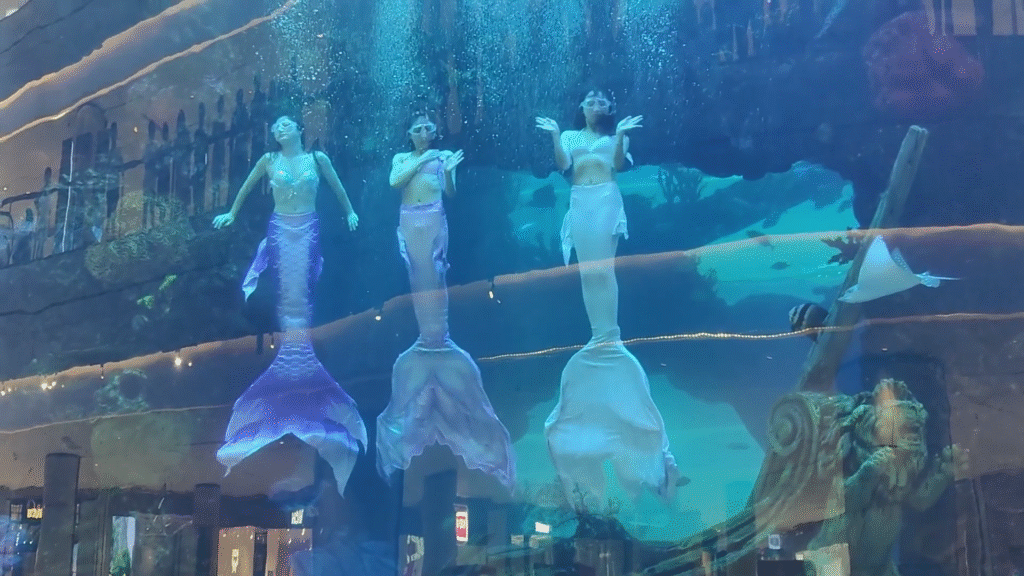 Live Mermaid Show - Ultimate Chongqing Itinerary: 7 Top Attractions - Leo Trails