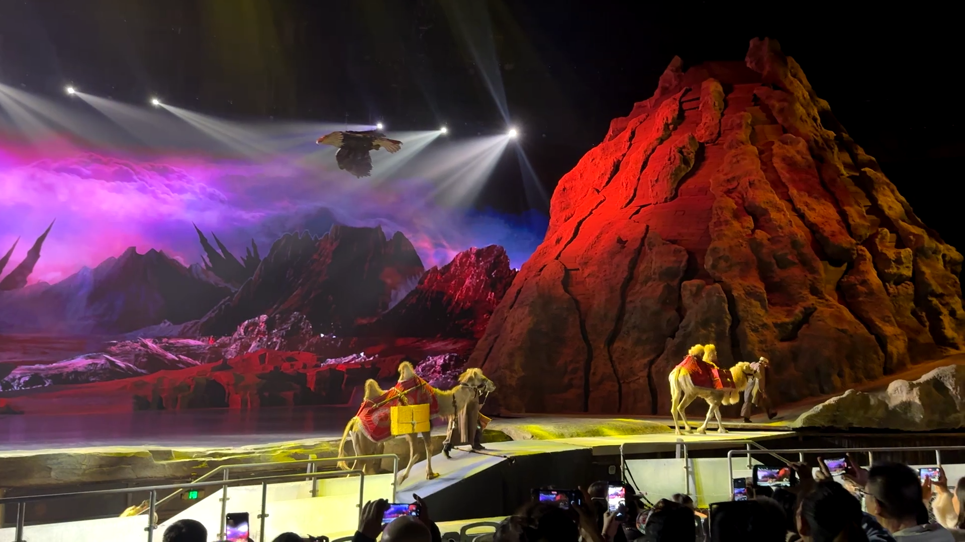 Real camels in a show - The Camel Bell Legend Show in Xi'an - Leo Trails