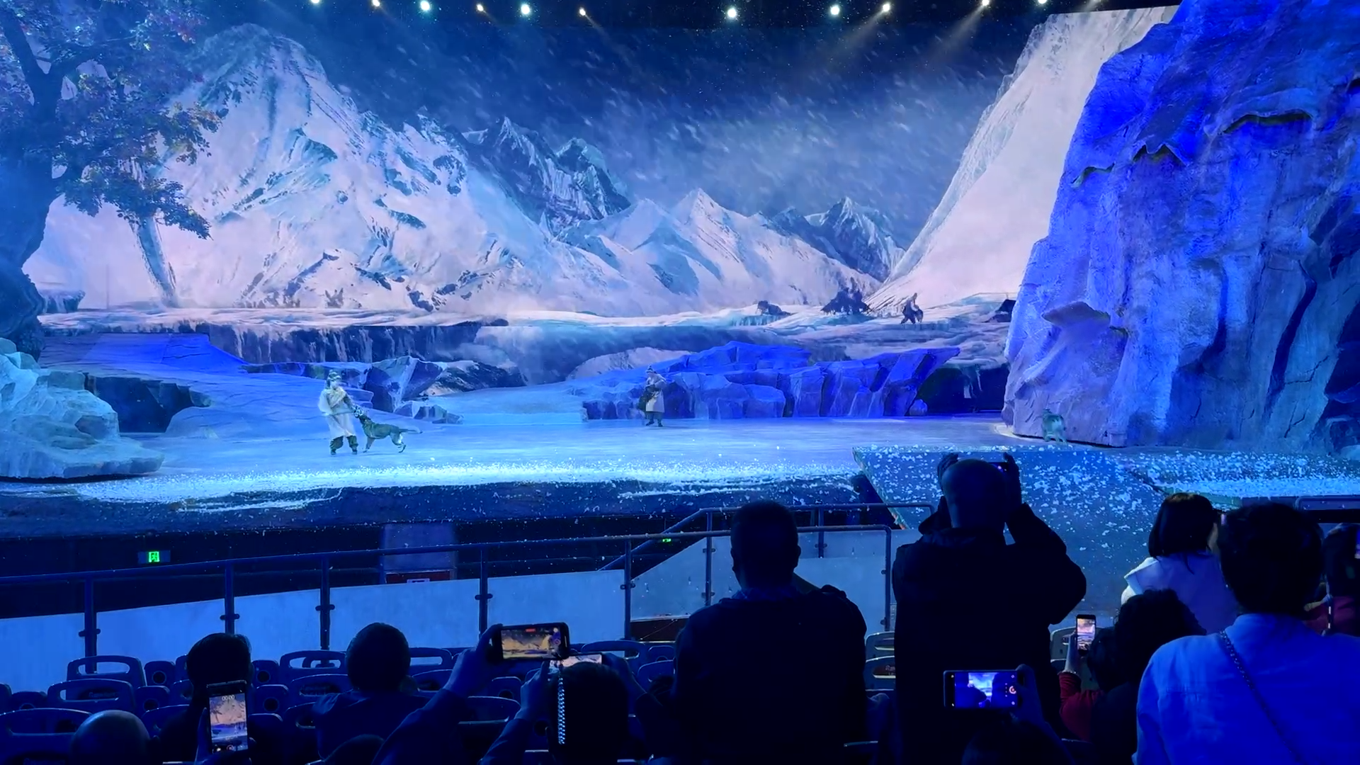 Wolves in a show - The Camel Bell Legend Show in Xi'an - Leo Trails