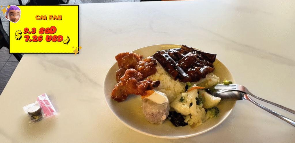 A plate of Cai Fan - How to Enjoy Singapore Without Breaking the Bank - Leo Trails