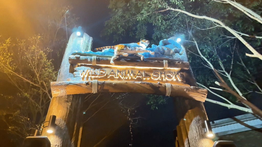 Wild Animal Show - The Best of Chiang Mai Night Safari at Night - Leo Trails