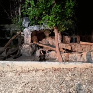 Black Bear - The Best of Chiang Mai Night Safari at Night - Leo Trails