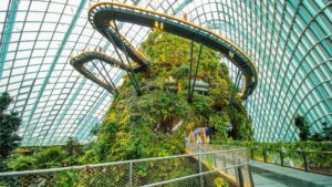 Cloud Forest - How to Enjoy Singapore Without Breaking the Bank - Leo Trails