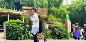 Couples visiting Chengdu Panda Research Base - Chengdu Panda Research Base: Simple Travel Guide - Leo Trails