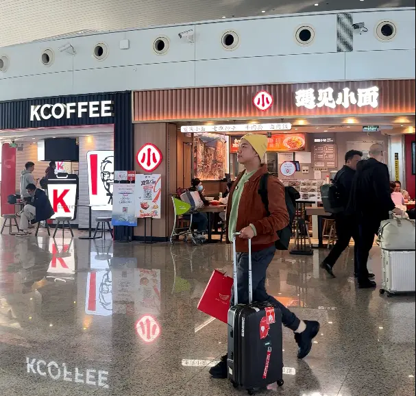 Me dragging a luggage - Trip App: Flight Delays, Gate Changes, and Live Updates - Leo Trails