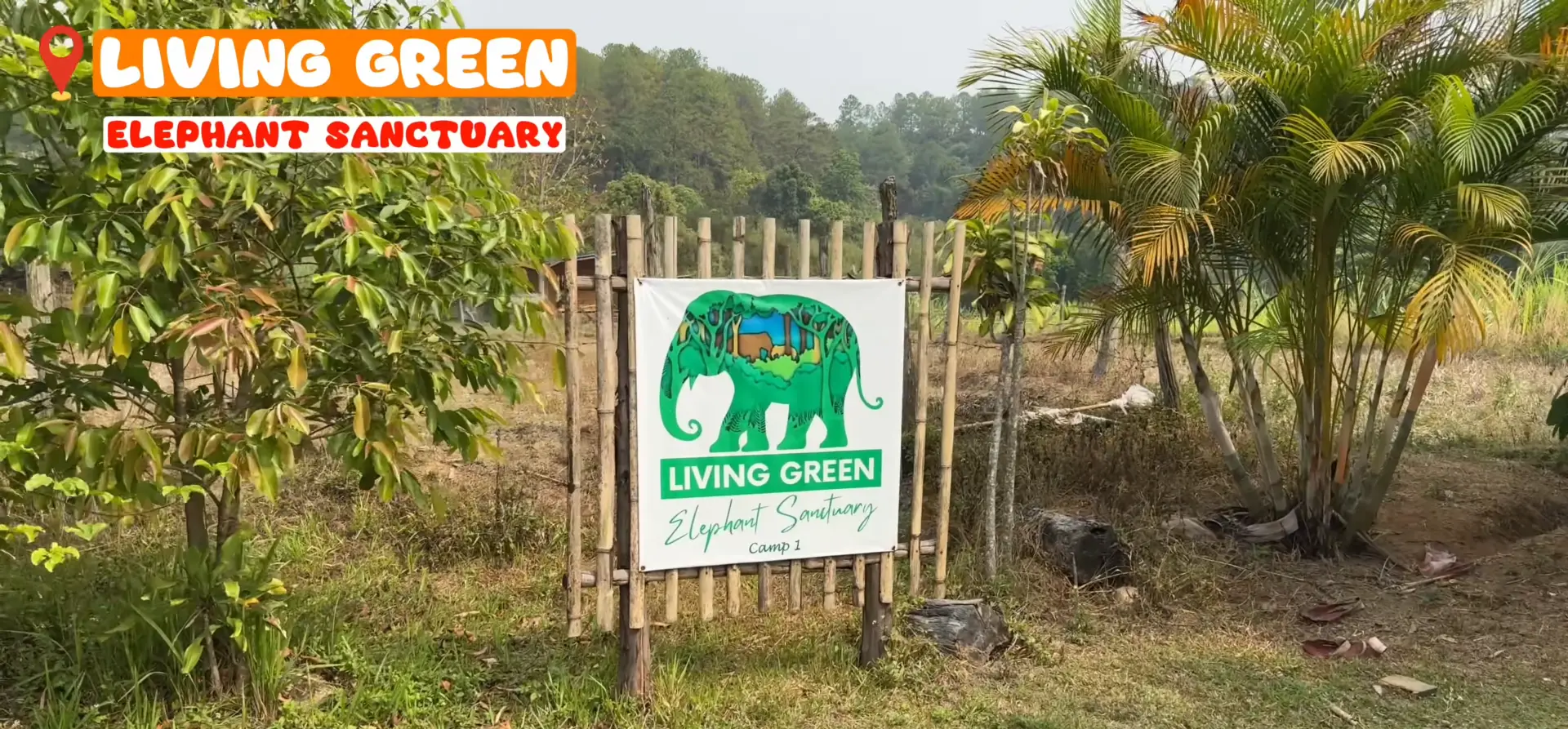 Living Green Elephant Sanctuary - My Day at an Ethical Elephant Sanctuary in Chiang Mai - Leotrails