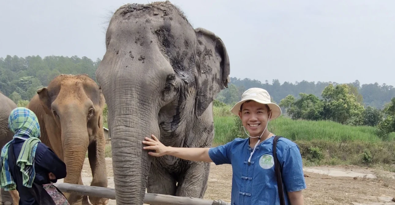 🐘 My Day at an Ethical Elephant Sanctuary in Chiang Mai