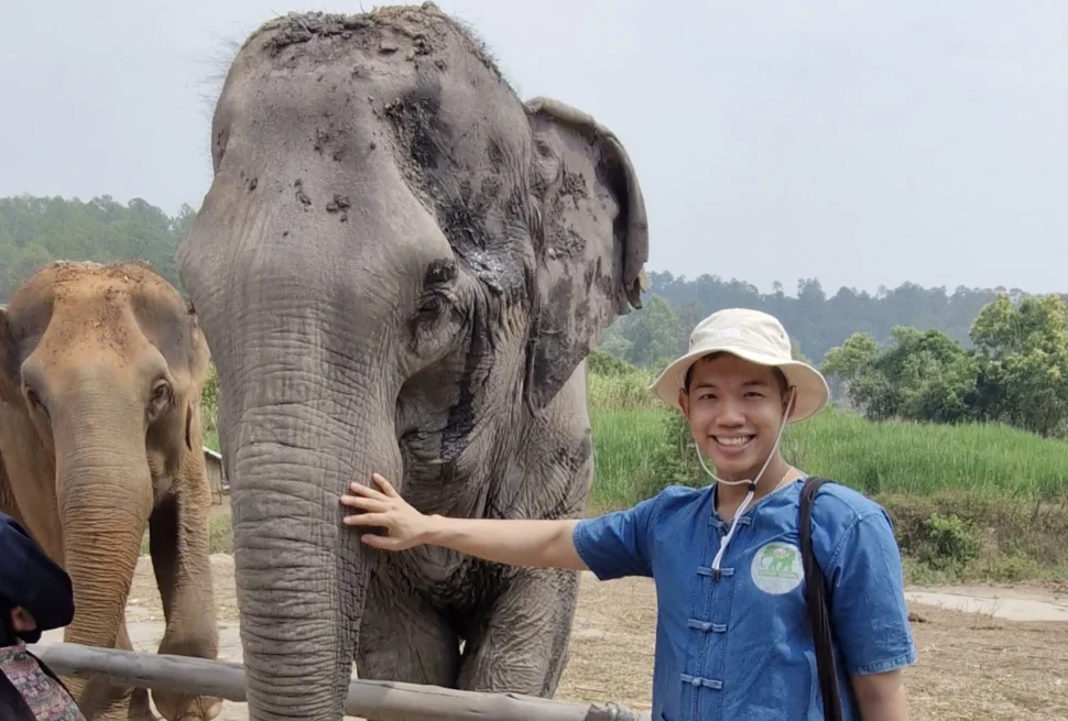 Me and the Elephant - My Day at an Ethical Elephant Sanctuary in Chiang Mai - Leotrails