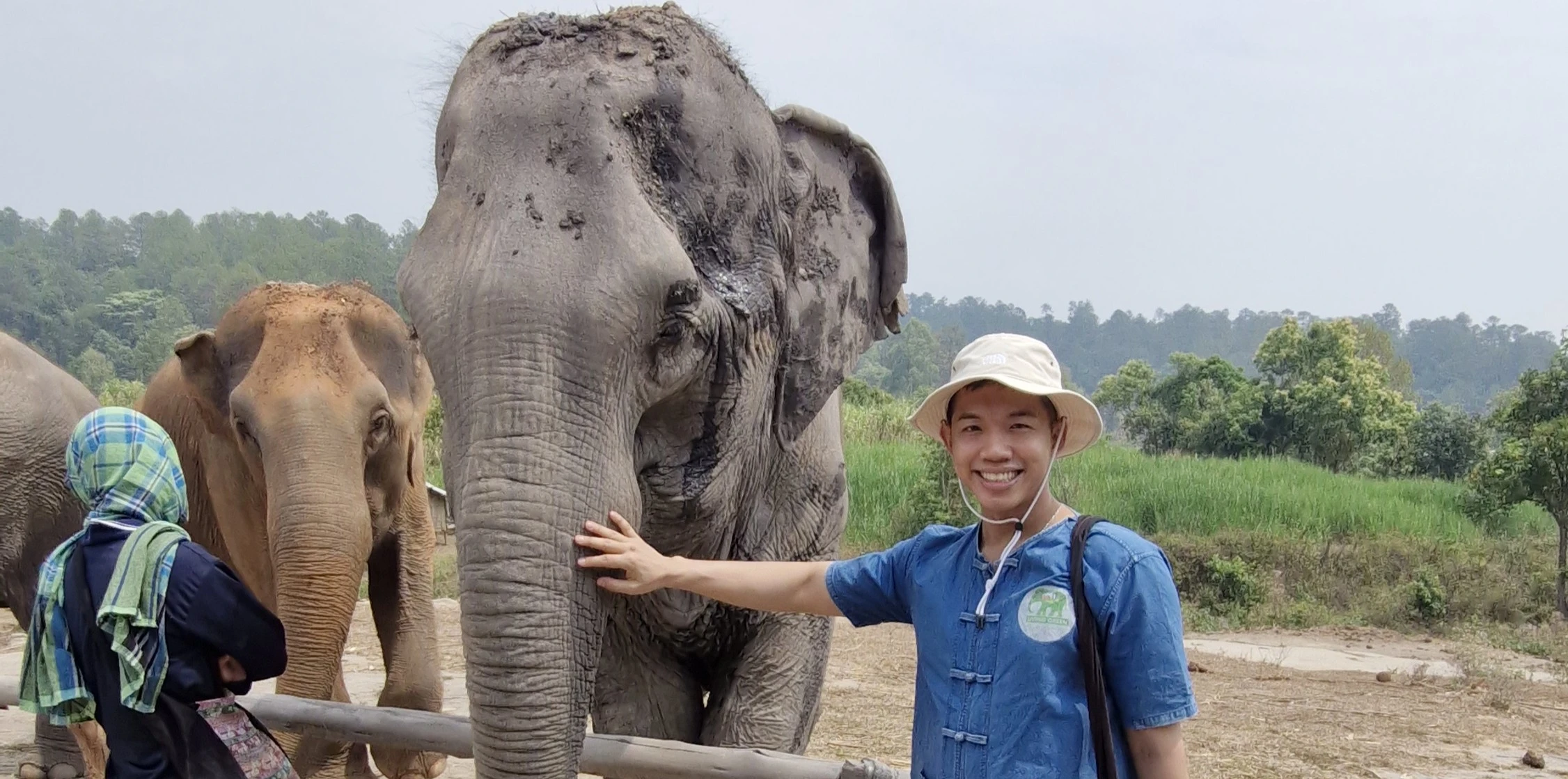 🐘 My Day at an Ethical Elephant Sanctuary in Chiang Mai