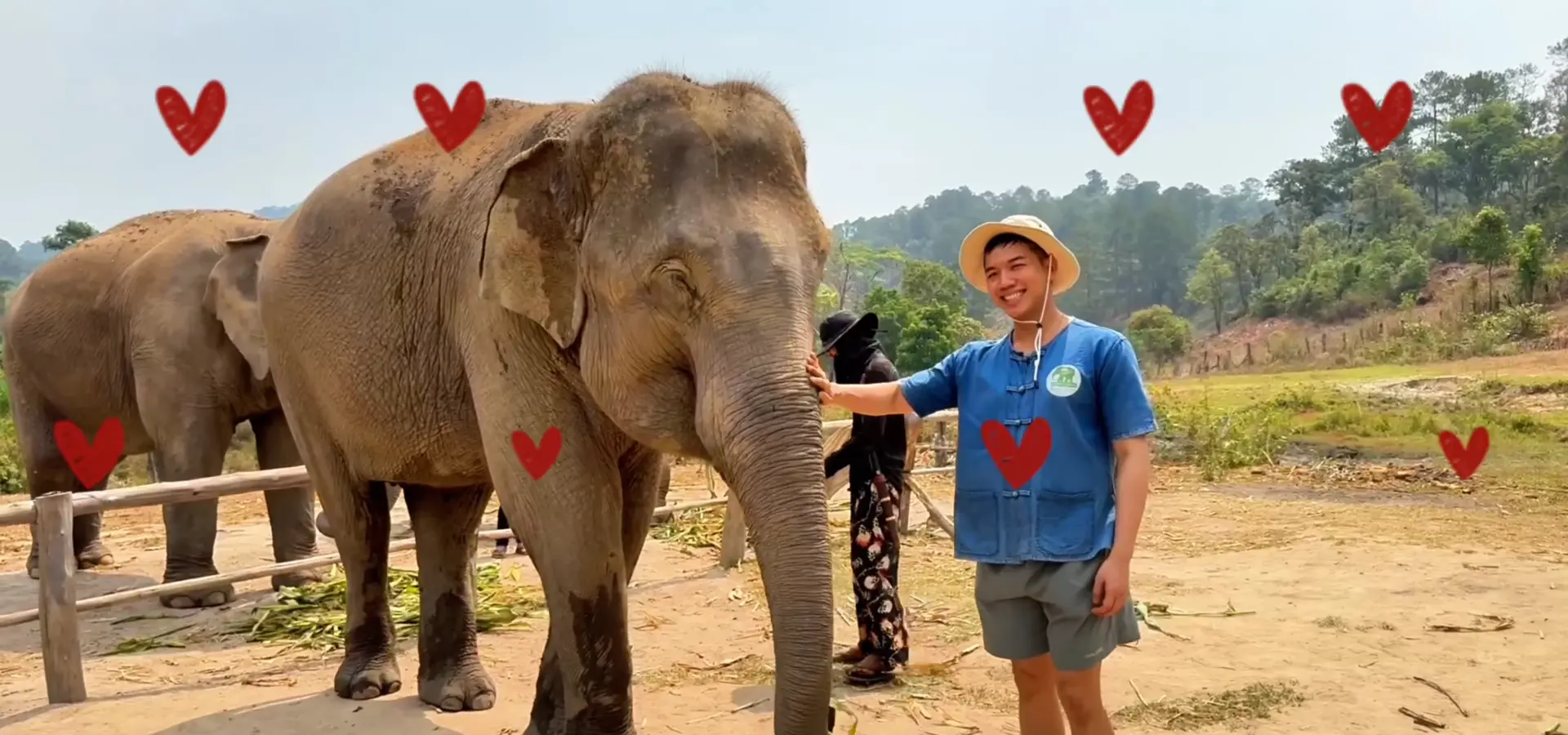 Me patting the elephant - My Day at an Ethical Elephant Sanctuary in Chiang Mai - Leotrails