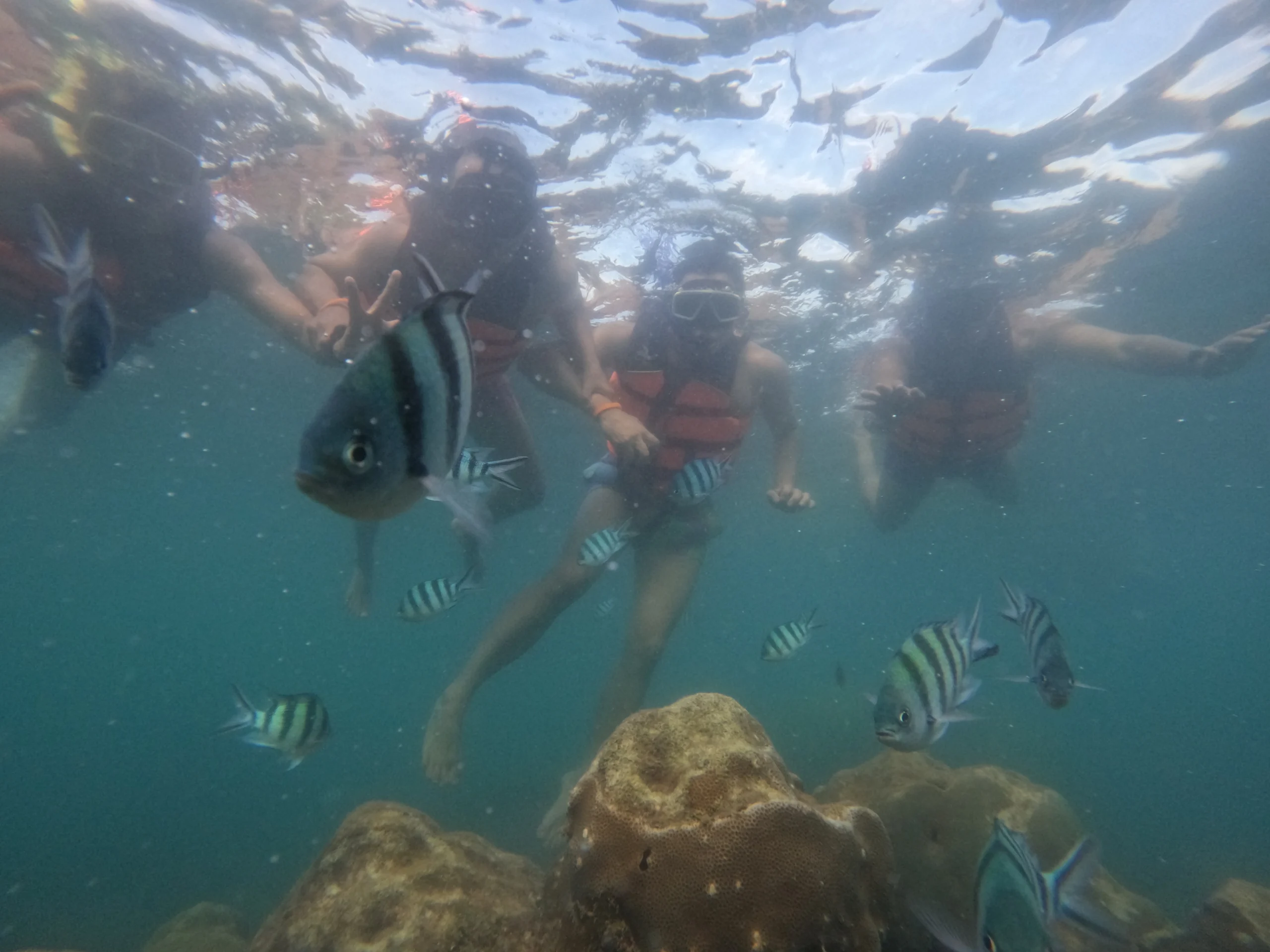Snorkling - Your Easy Guide to Koh Samet from Bangkok (Bus, Boat & Tips) - Leotrails