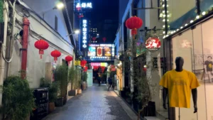 Alley - The Ultimate Shanghai Bucket List: 9 Must-Do Experiences 🌟 - Leotrails