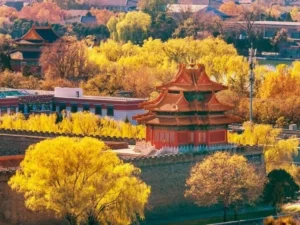 Autumn In China - Shanghai to Suzhou Day Trip: Complete Train Guide 🚇 - Leotrails