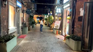 Mom at the Alley - The Ultimate Shanghai Bucket List: 9 Must-Do Experiences 🌟 - Leotrails