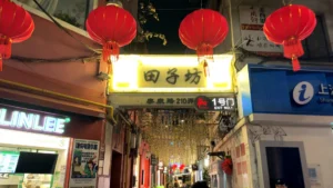 Tianzifang - The Ultimate Shanghai Bucket List: 9 Must-Do Experiences 🌟 - Leotrails