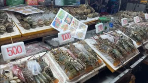 Fresh Lobsters - Son Tra Night Market Da Nang: Food & Things to Do - Leotrails