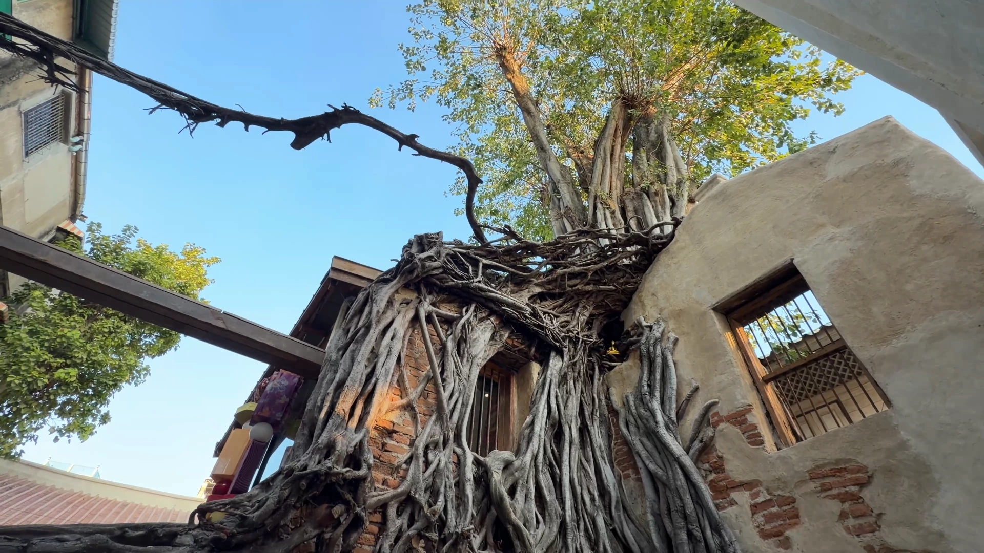 Ancient tree roots growing over the building walls - Song Wat Bangkok: How to Spend a Day Here 🏠 - Leotrails
