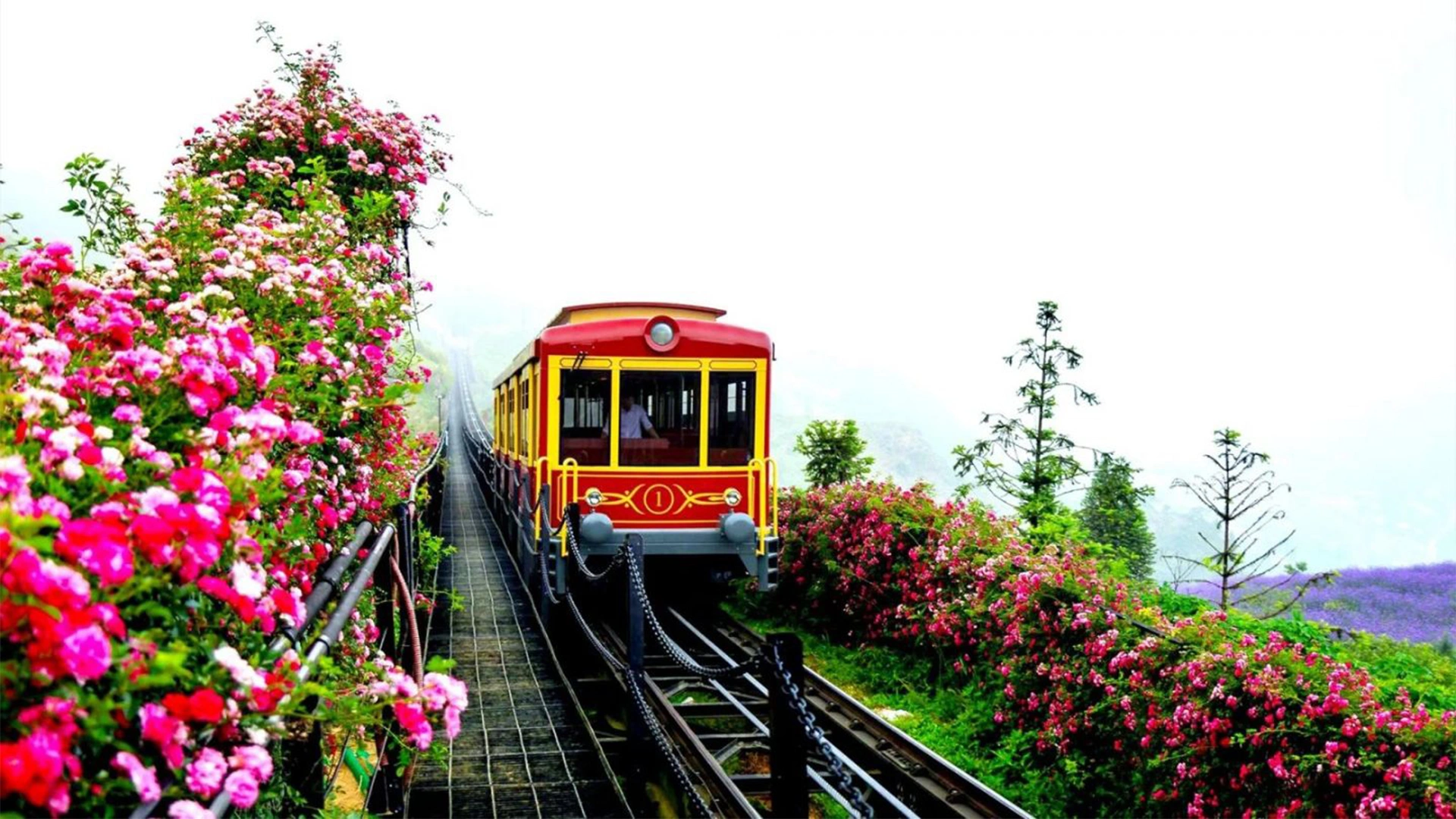 Muong Hoa Funicular Train - How to Buy Fansipan Mountain Tickets the Easy Way 🎟️ - Leotrails